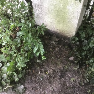 Absackung von Baugrund