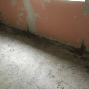 firmen pfahlgrundung